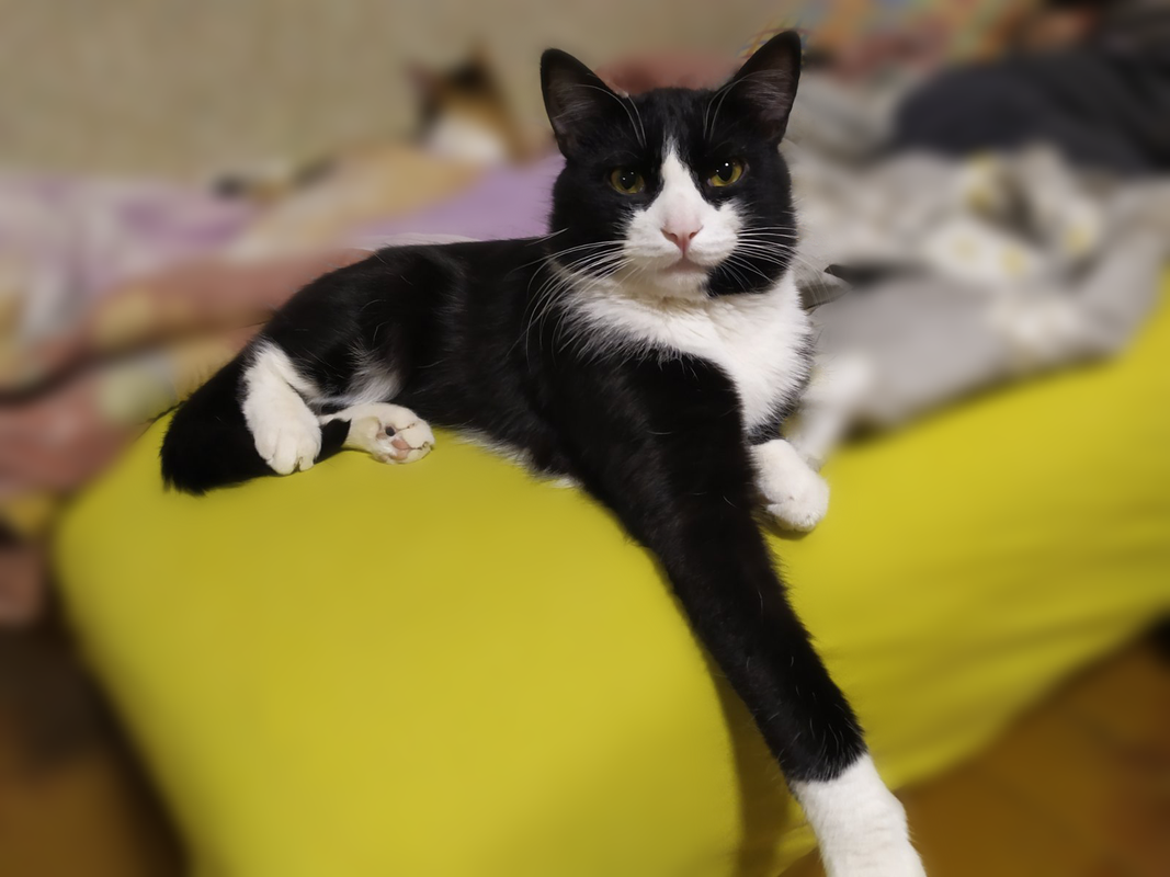 изображение_viber_2021-01-27_15-45-00