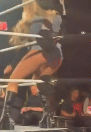 nov12a.gif
