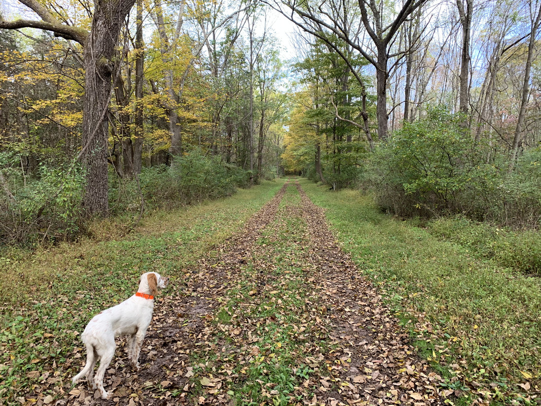 6E45647A-F20E-45E0-96EB-B4B9CBAF61F6