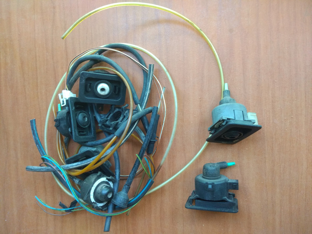 IMG_20221101_095540816