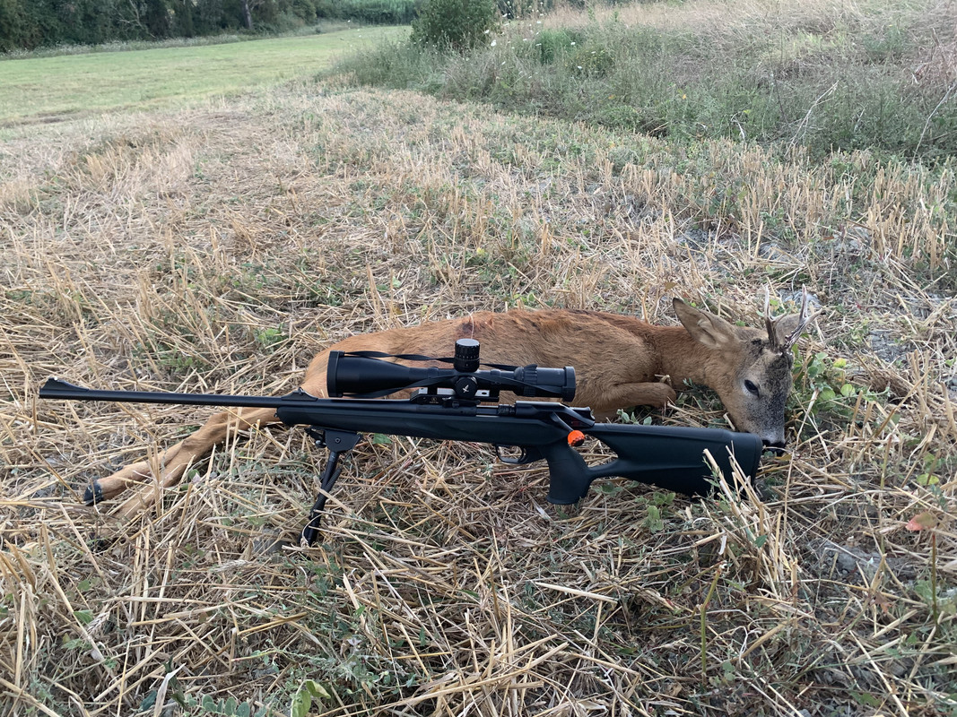 857DF128-F555-4D83-8EB1-B76DACDB0F5C