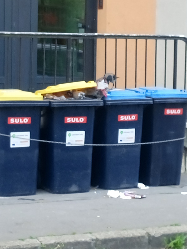 Kép