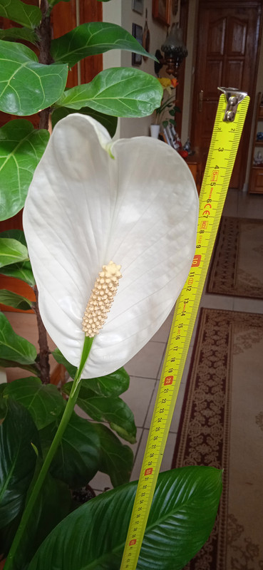 IMG_20230223_104340[1]