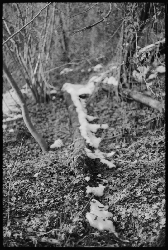 Leicaflex Standard_01gen2022_06 (863x1280)