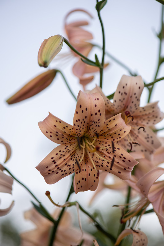 IMG-f8bc1ced2a69f6d5b7c5b5a970faa640-V