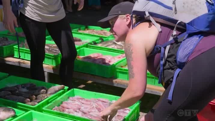 [Image: n6sdu2h8bwj5.jpg]