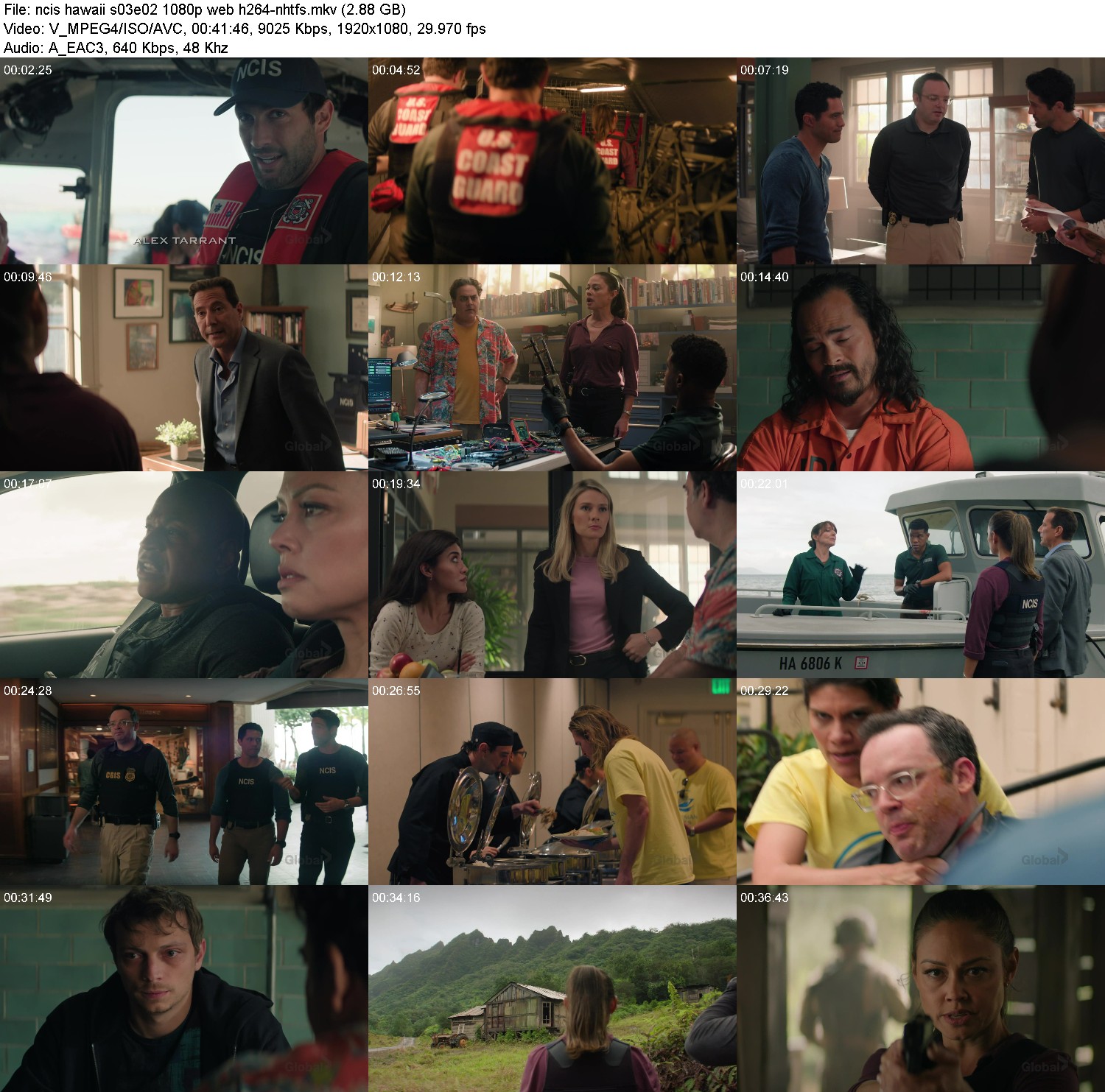 [Image: y6sf6nf46pfa.jpg]