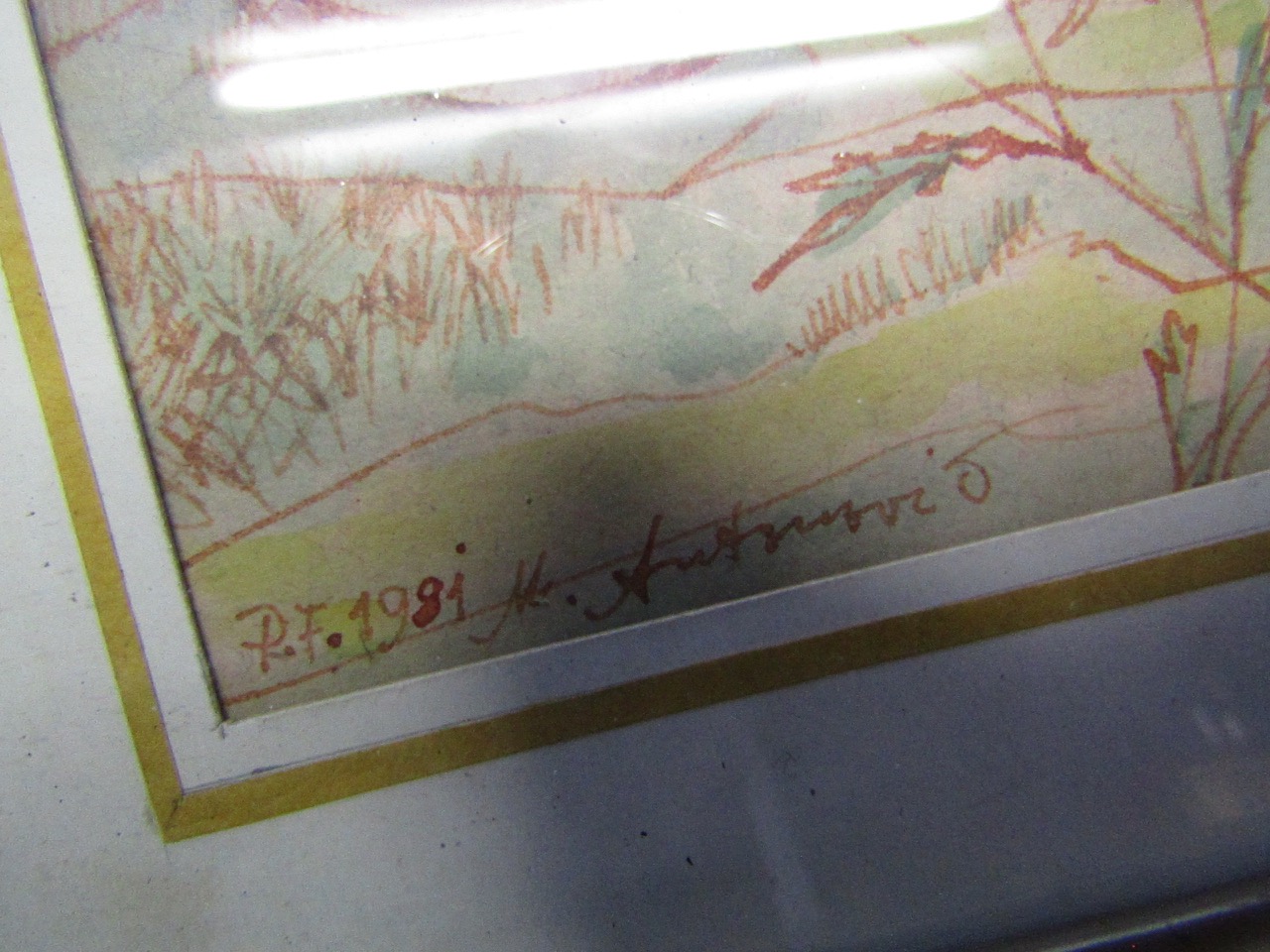 IMG 2596 — Postimages