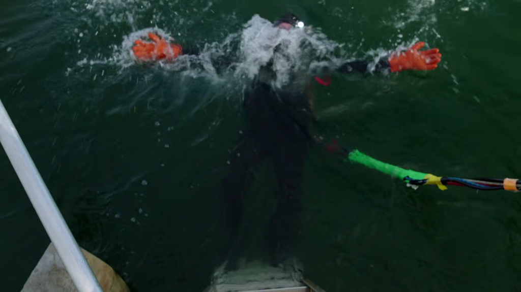 [Image: 8d1c8lcqdr9h.png]