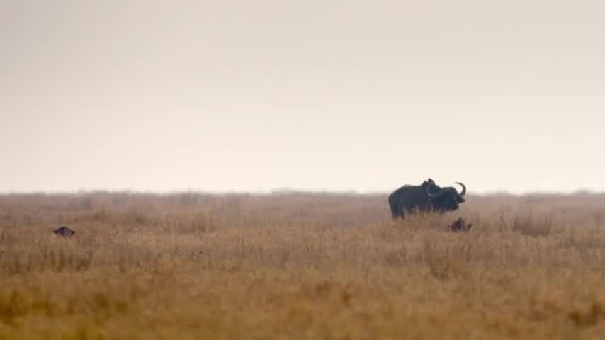 [Image: f30tna82jjys.jpg]