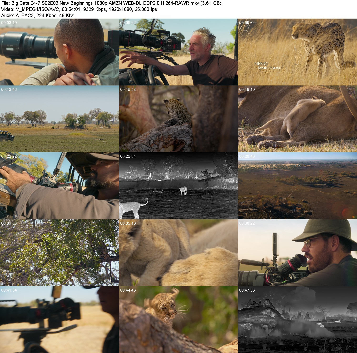 [Image: 2r2fe5m4uhhq.jpg]