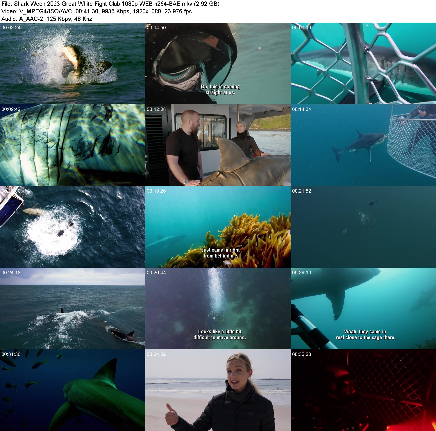 [Image: dypfy5wdv521.jpg]