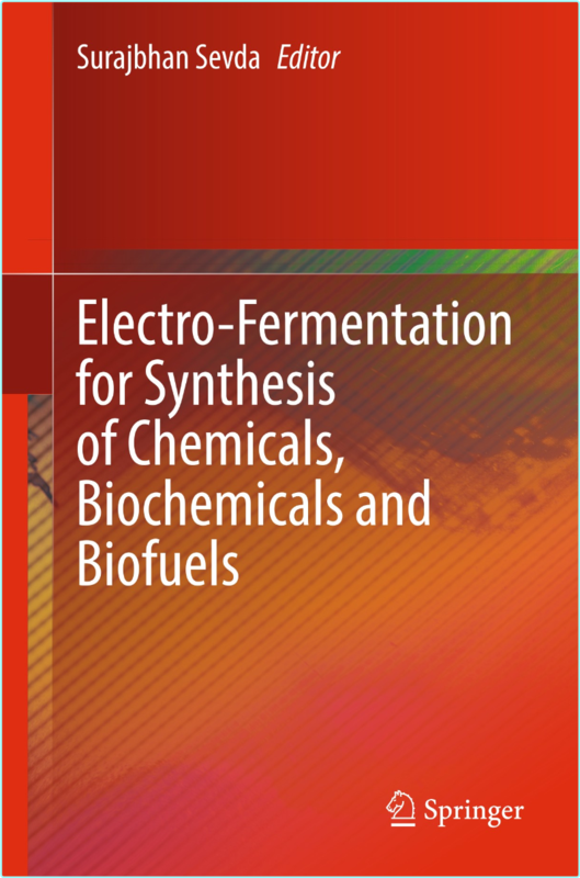 Electro Fermentation For Synthesis Of Chemicals Biochemicals (2025) (Surajbhan Sevda)