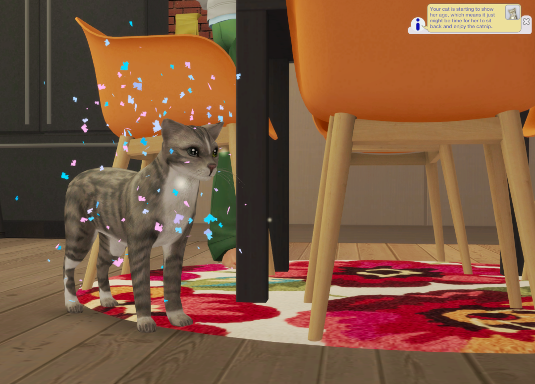 Sims2-EP9-RPC-2024-08-27-21-09-04-12