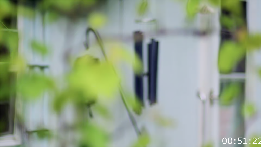 [Image: yojn88iv3tt0.png]