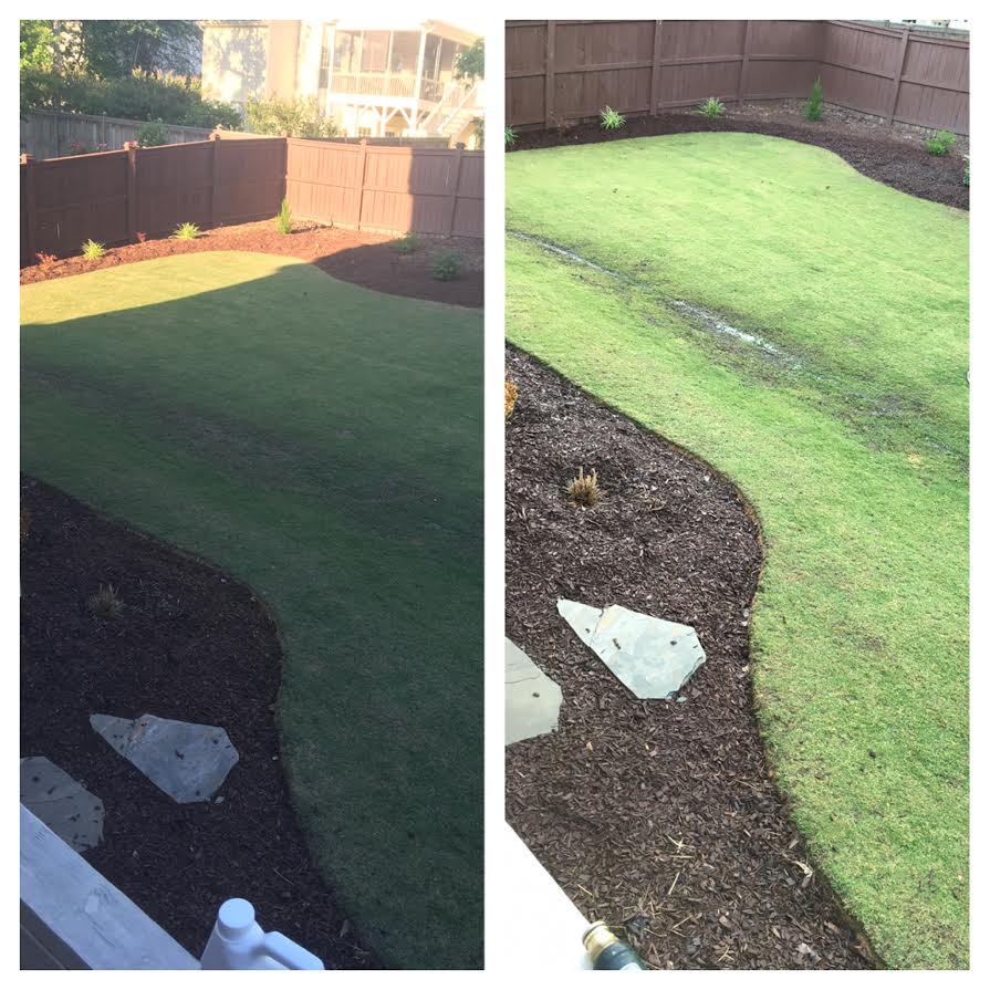 Back Yard Before and After Penterra — Postimages
