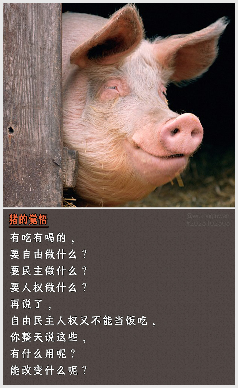 https://i.postimg.cc/cZvdnBjY/2025102505-zhu-de-jue-wu.jpg