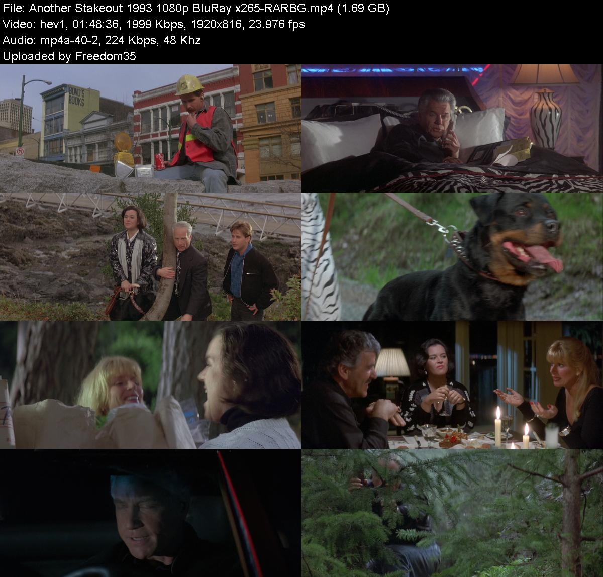 Another-Stakeout-1993-1080p-Blu-Ray-x265
