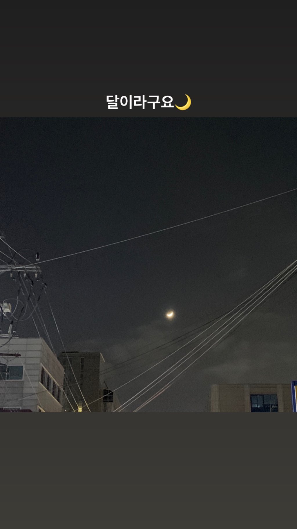 83013674-188135465601285-871503613512826