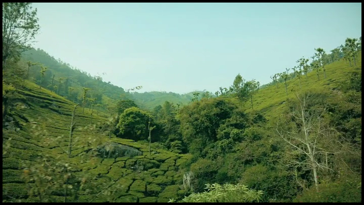 [Image: 0r725obwrauk.png]