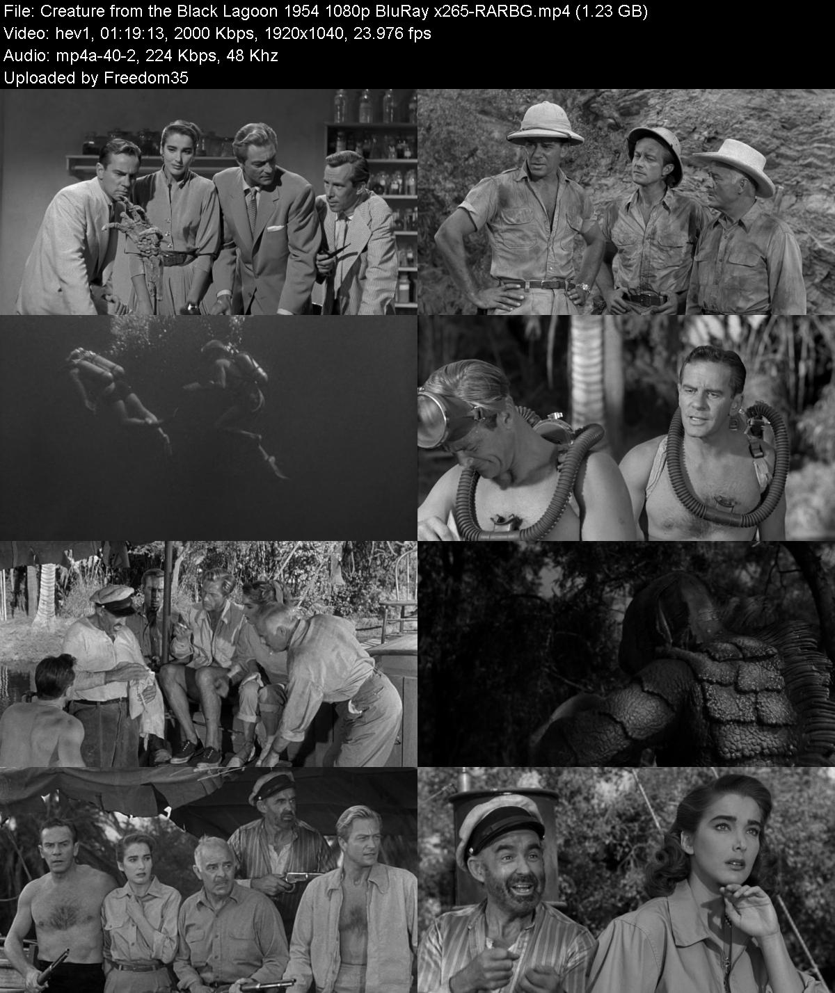 Creature-from-the-Black-Lagoon-1954-1080