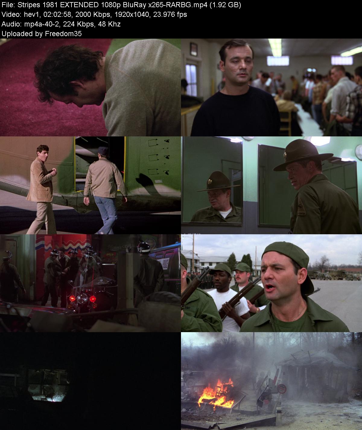 Stripes-1981-EXTENDED-1080p-Blu-Ray-x265