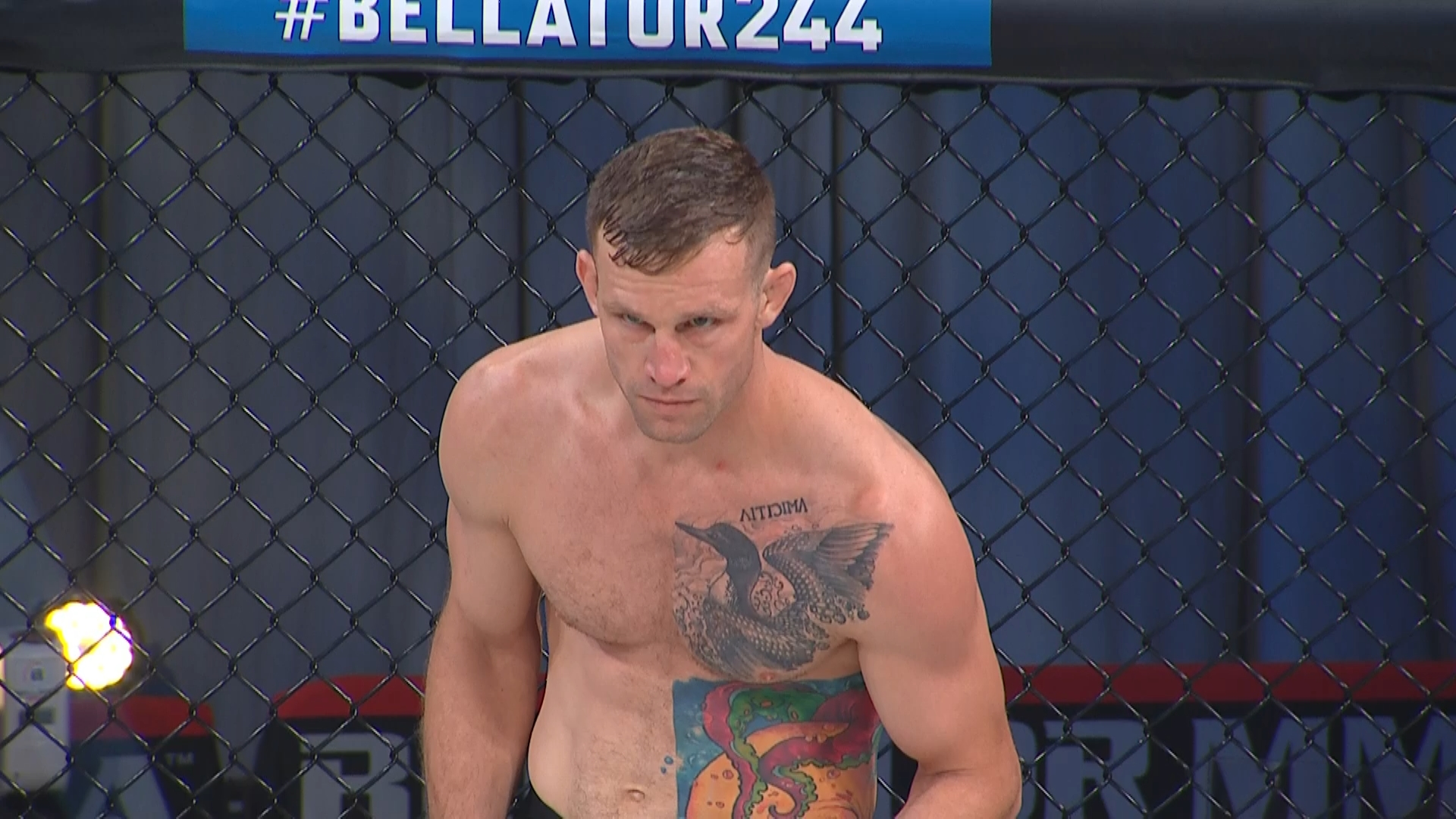 Bellator 244 Bader vs Nemkov 1080i HDTV -WH