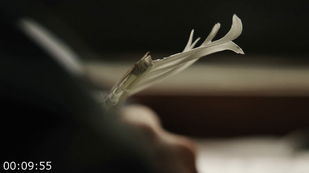 [Image: a1tcio2q3jj2.png]