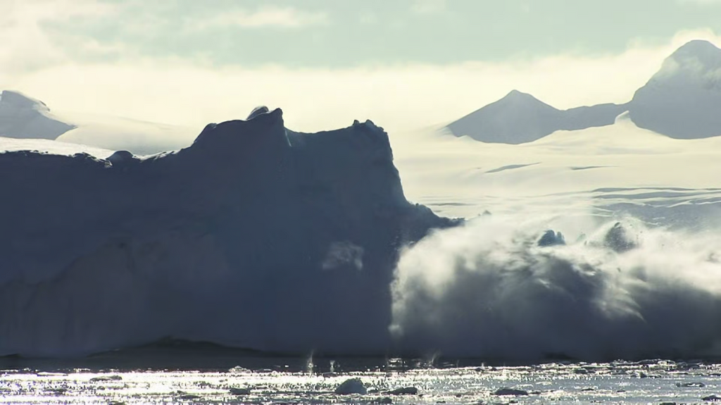 [Image: 5bu6vx1c1egq.png]