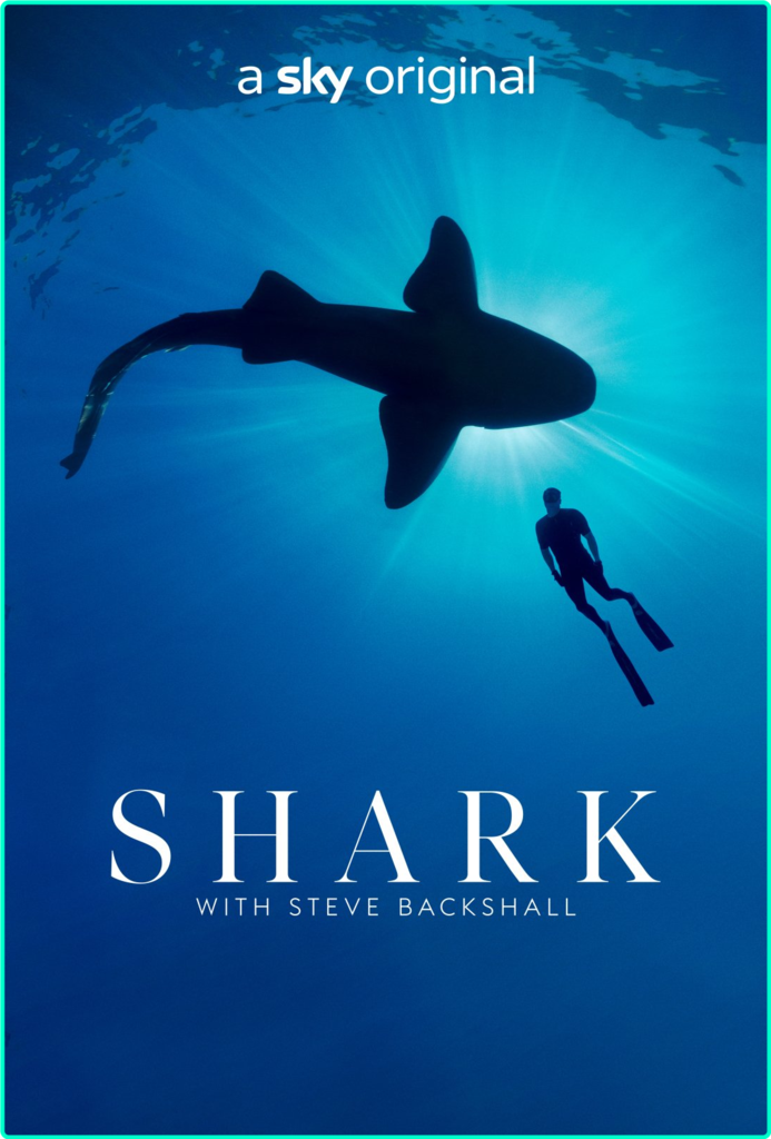 [Image: sd6it3i8adv3.png]