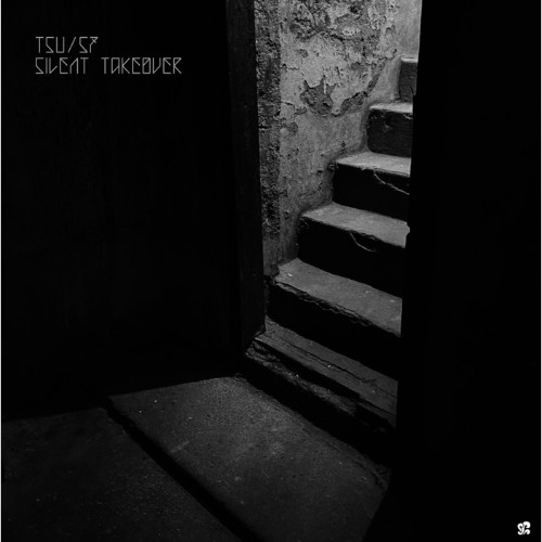 VA - Silent Teover (2026)