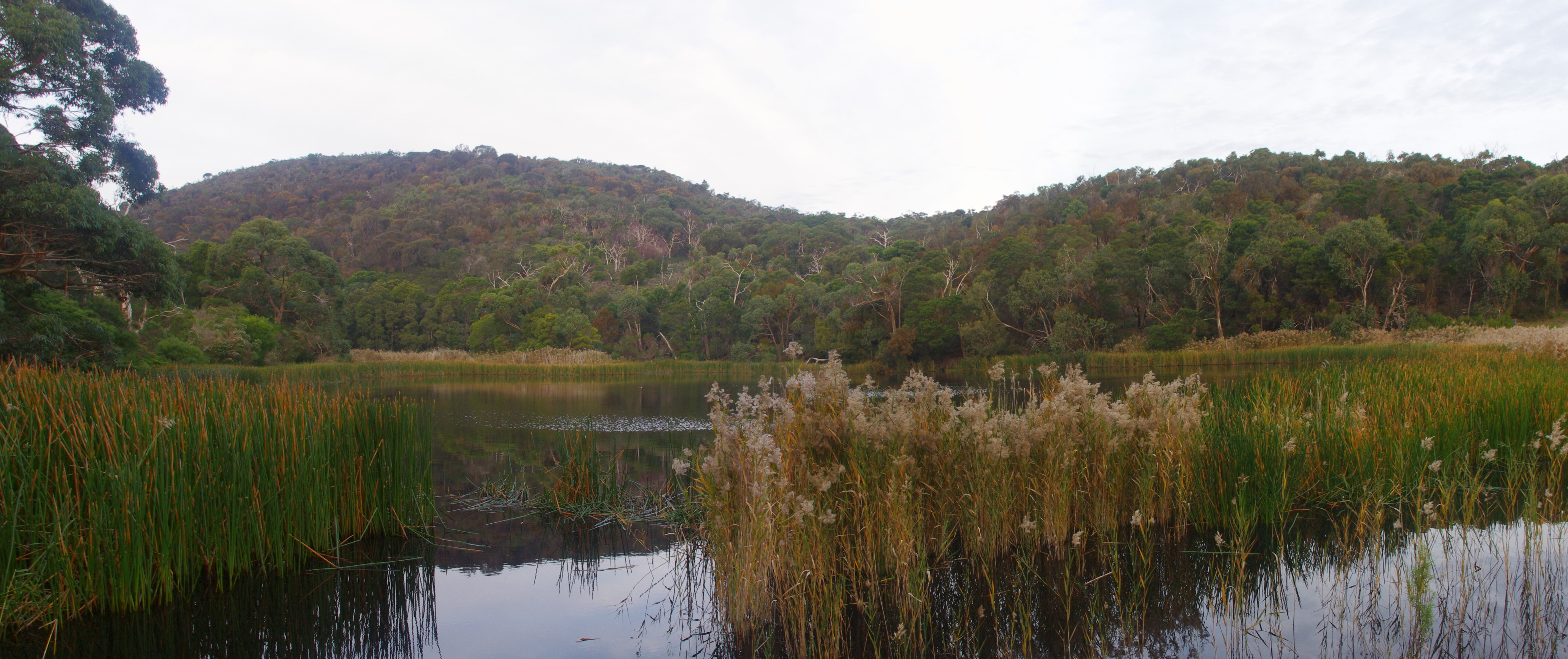 Mc-Larens-Dam.jpg