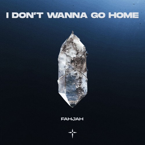 Fahjah-I-Dont-Wanna-Go-Home-120021447290