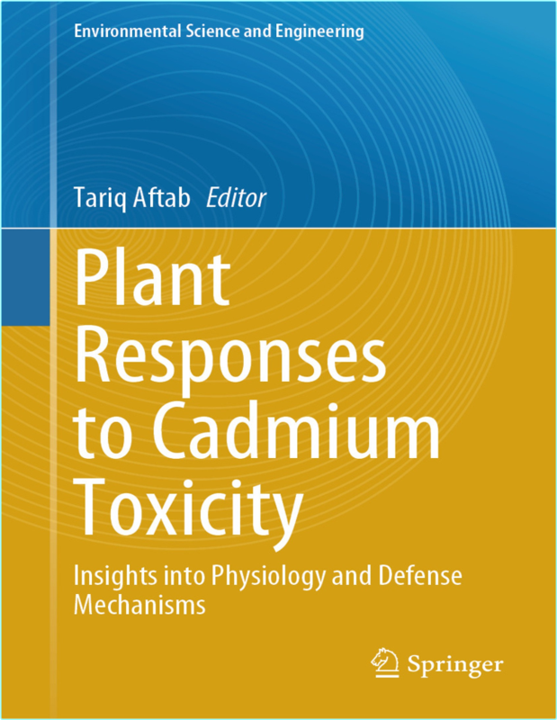 [Image: g1qnlnmj923k.png]