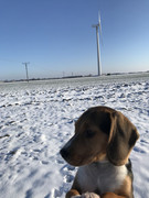 DA1247-D9-B77-D-4040-8-C18-23005-E25-DEB