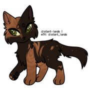 classic tortoiseshell tabby