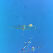 IMG-20260429-142013