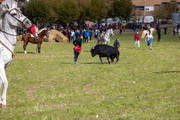 IMG-0037