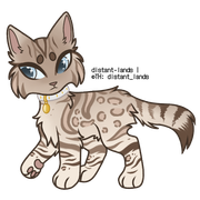 spotted snow bengal