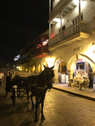 IMG-8529