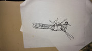 IMG-20240305-151100143