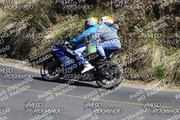 IMG-1377
