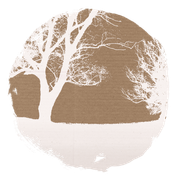 BIBI-PINK-ANGEL-ELEMS-90