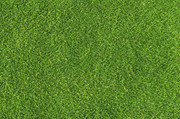 Commercial solutions artificial grass Mesa, AZ