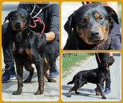 Be-Funky-collage-24.jpg&key=eb5e9e6e38c9