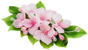 Sweet-Love-MM-Element-138