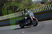 DSC-0286