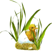 0-175c5d-754c4c1b-orig