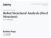 Robot Structural Analysis (Steel Structure)