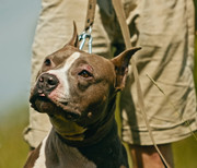 Screenshot_20230624_175214_Gallery